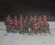 Hockey Team #4